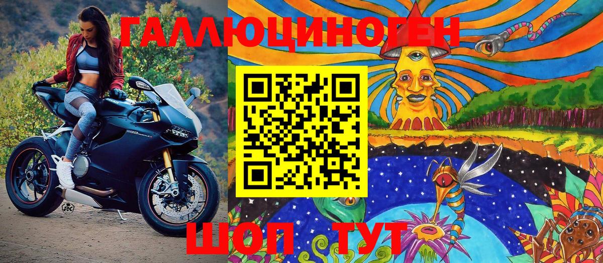 Псилоцибиновые грибы Psilocybine cubensis Грязи