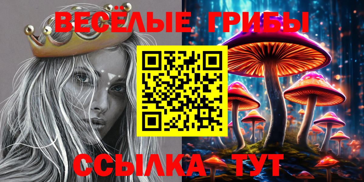Галлюциногенные грибы MAGIC MUSHROOMS  Вход с VPN  Галлюциногенные грибы прущие грибы  Грязи 